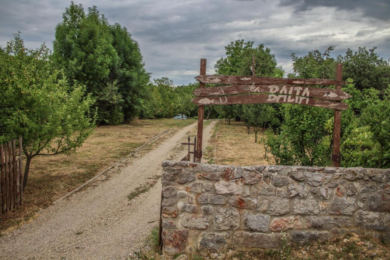 Hotel La Balta Vadu Crisului Esterno foto