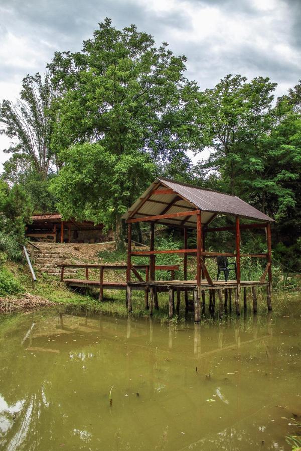 Hotel La Balta Vadu Crisului Esterno foto