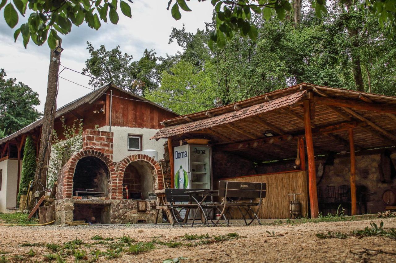 Hotel La Balta Vadu Crisului Esterno foto